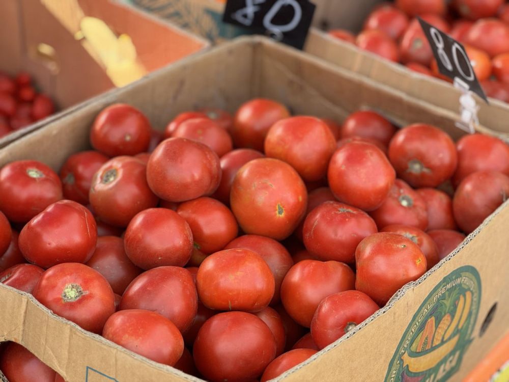 Более 100 производителей привезли более 50 тонн своей продукции на ярмарки, открывшиеся сегодня в Симферополе Более 100 производителей привезли более 50 тонн своей продукции на ярмарки, открывшиеся сегодня в Симферополе