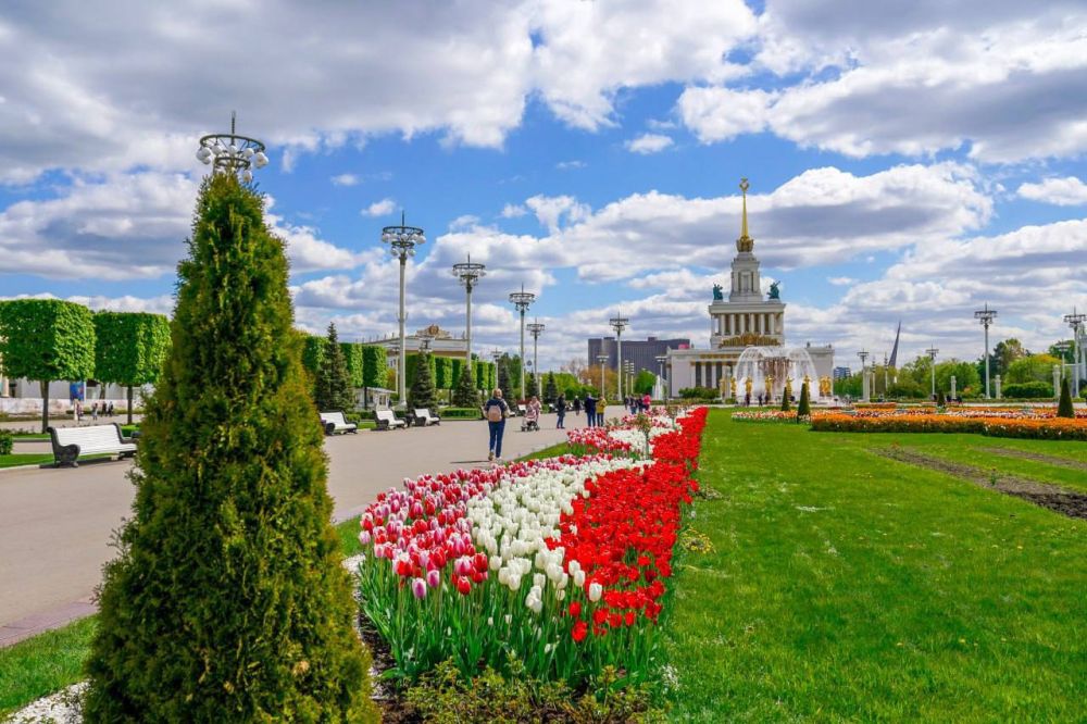 Михаил Развожаев: Сегодня Москва празднует День города Михаил Развожаев: Сегодня Москва празднует День города