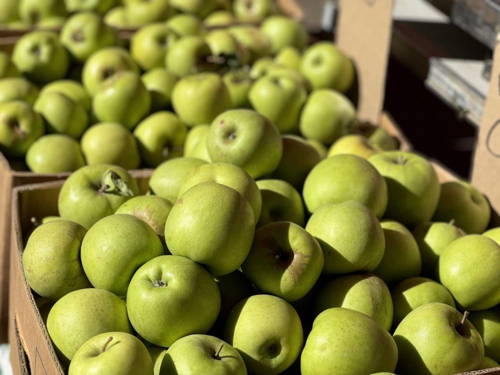 Более 100 производителей привезли более 50 тонн своей продукции на ярмарки, открывшиеся сегодня в Симферополе Более 100 производителей привезли более 50 тонн своей продукции на ярмарки, открывшиеся сегодня в Симферополе
