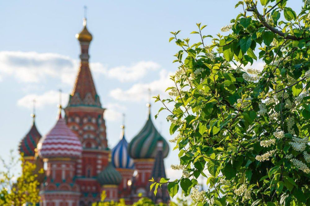 Михаил Развожаев: Сегодня Москва празднует День города Михаил Развожаев: Сегодня Москва празднует День города