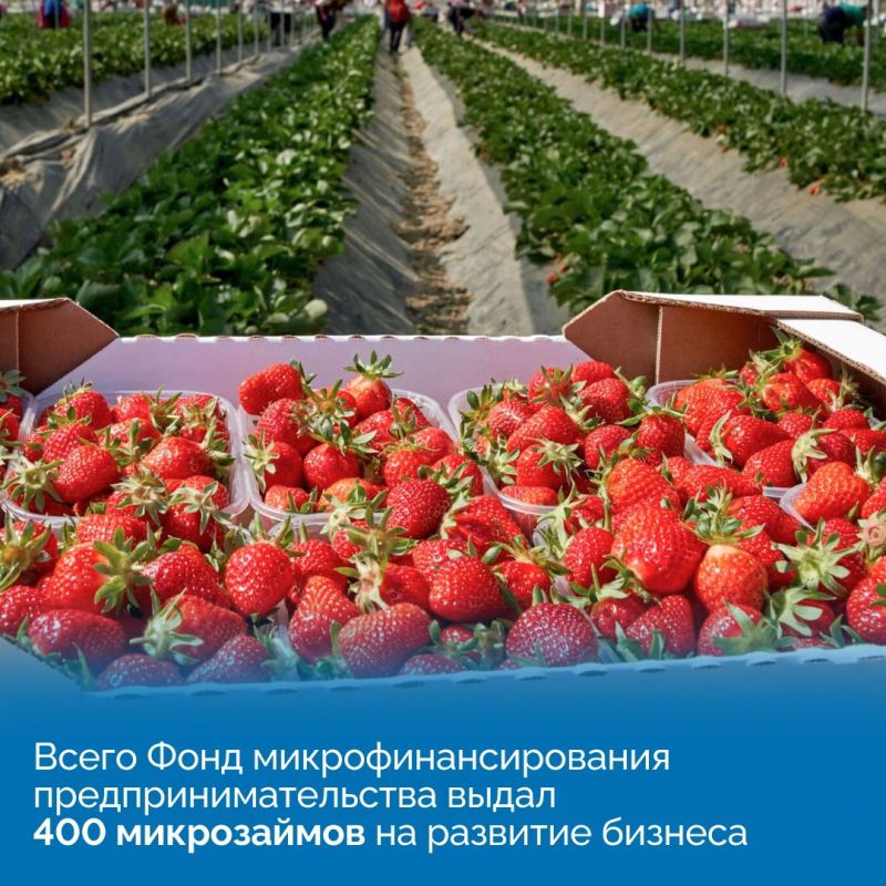 С начала года крымским предпринимателям было выдано 400 микрозаймов по льготным ставкам на сумму более 700 млн рублей С начала года крымским предпринимателям было выдано 400 микрозаймов по льготным ставкам на сумму более 700 млн рублей