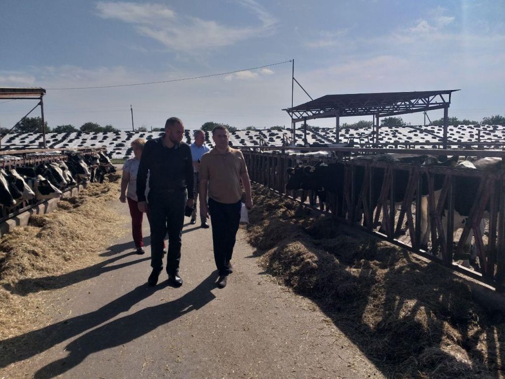 �������� ������ � ����� �������! � ��� �� �����, � ����������� ����