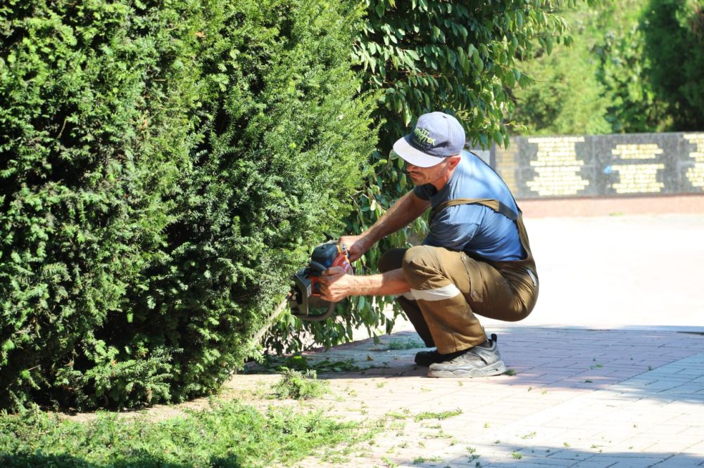#зеленые_насаждения. В Керчи продолжаются сезонные работы по уходу за зелеными насаждениями. Обрезка сухих веток, формовочная обрезка кустов, обработка и прополка клумб. Сегодня сотрудники керченского зеленхоза работали в центральной части города #зеленые_насаждения. В Керчи продолжаются сезонные работы по уходу за зелеными насаждениями. Обрезка сухих веток, формовочная обрезка кустов, обработка и прополка клумб. Сегодня сотрудники керченского зеленхоза работали в центральной части города