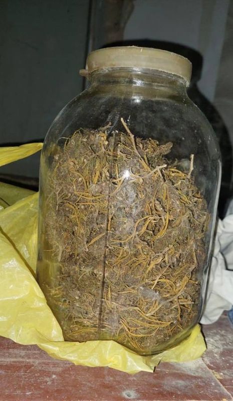 В колонию строгого режима отправится житель Кировского района за хранении каннабиса