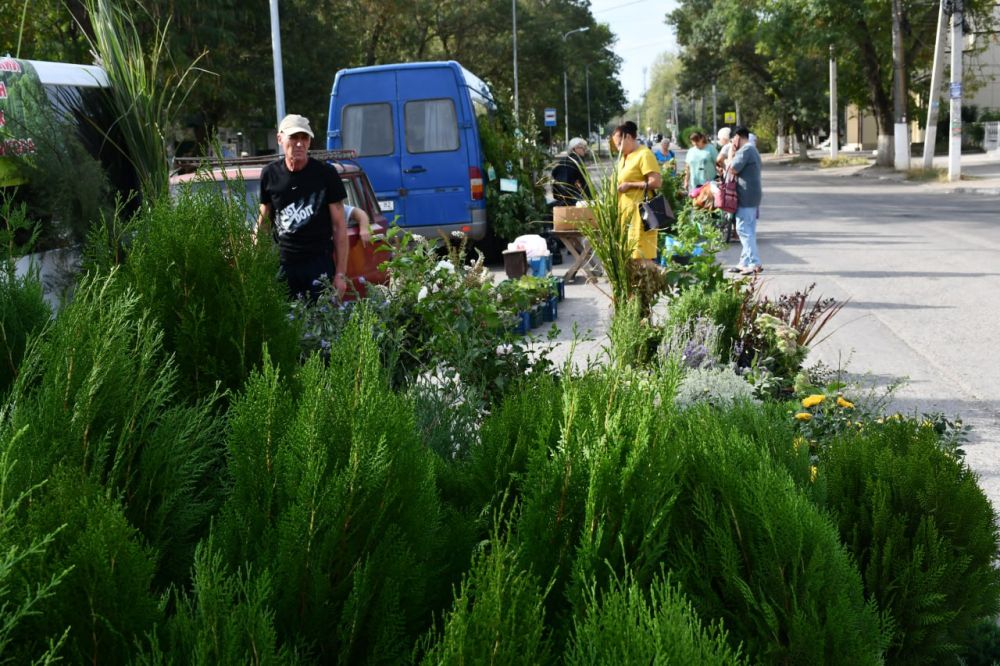 Дорогие жители и гости пгт Красногвардейское! Дорогие жители и гости пгт Красногвардейское!