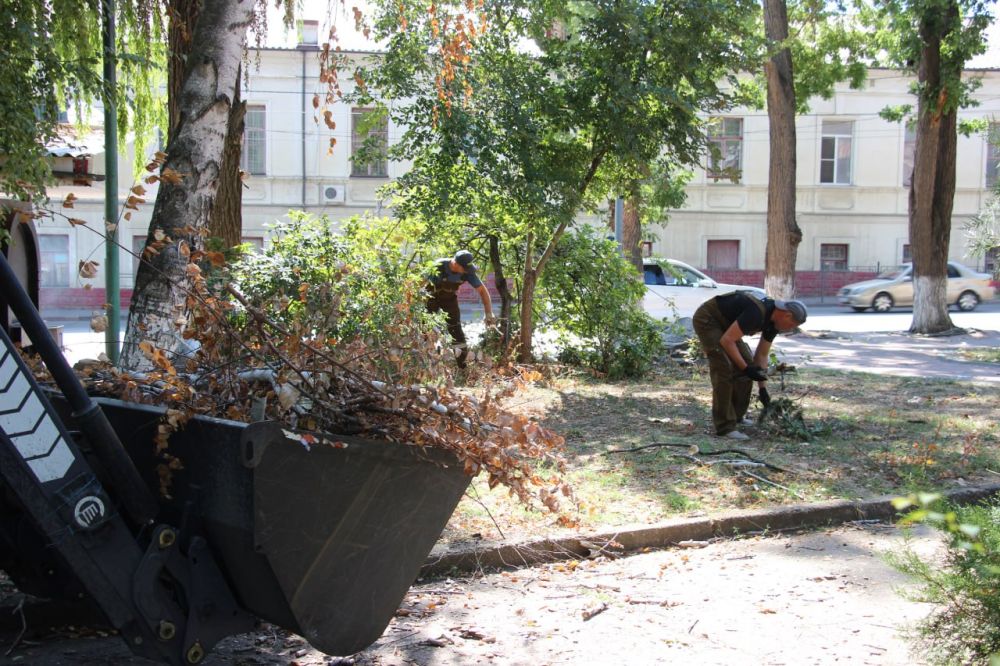 #зеленхоз. Специалисты службы городского хозяйства ежедневно занимаются вывозом веток после обрезки. Сегодня работники трудились в центральной части города #зеленхоз. Специалисты службы городского хозяйства ежедневно занимаются вывозом веток после обрезки. Сегодня работники трудились в центральной части города