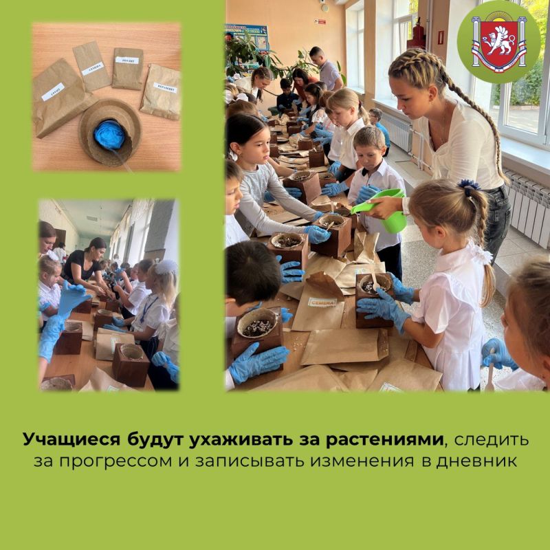 В Симферополе продолжается акция для первоклассников «Вырасти своё дерево» В Симферополе продолжается акция для первоклассников «Вырасти своё дерево»
