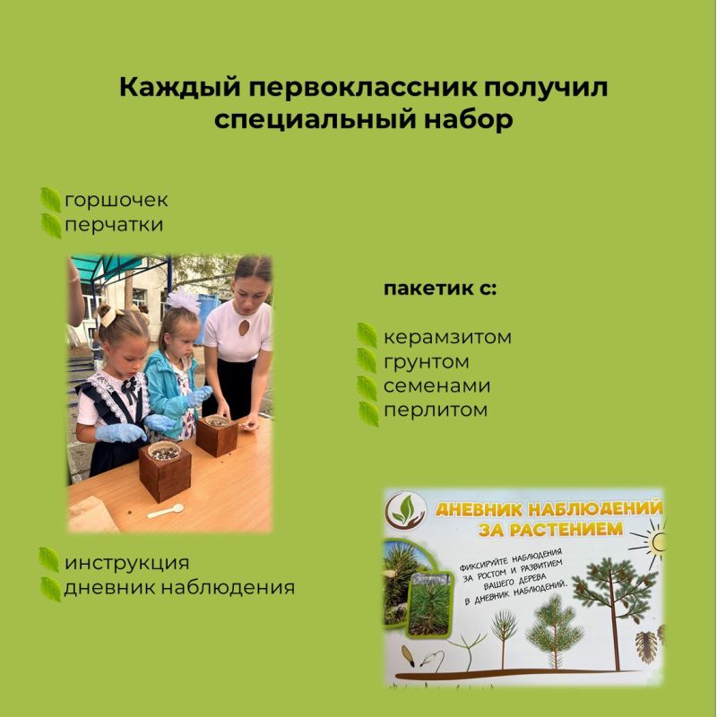 В Симферополе продолжается акция для первоклассников «Вырасти своё дерево» В Симферополе продолжается акция для первоклассников «Вырасти своё дерево»