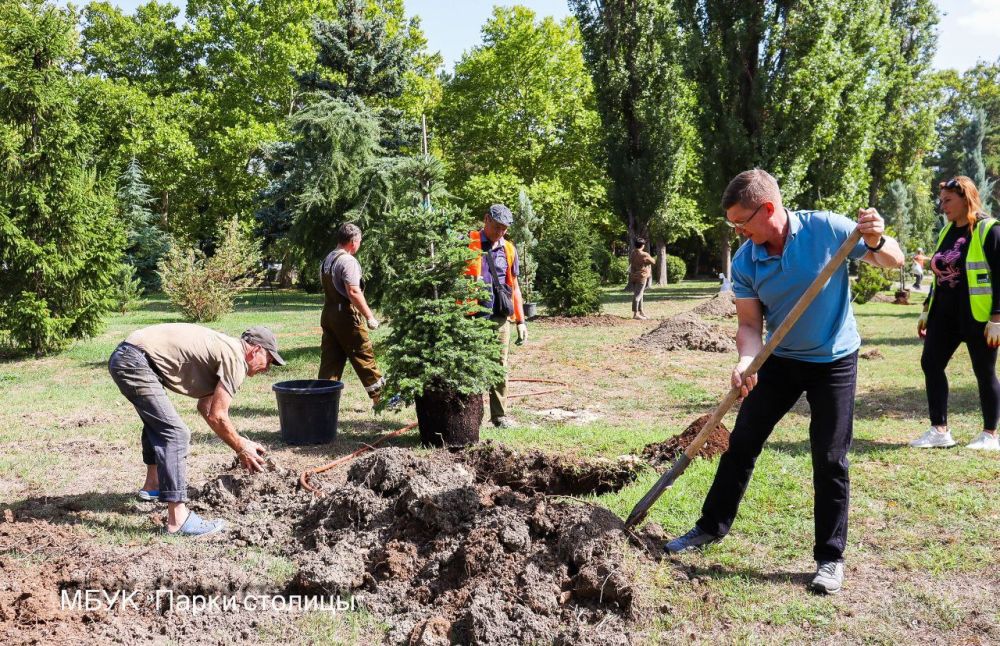 В парке Гагарина продолжается высадка декоративных деревьев и кустарников В парке Гагарина продолжается высадка декоративных деревьев и кустарников