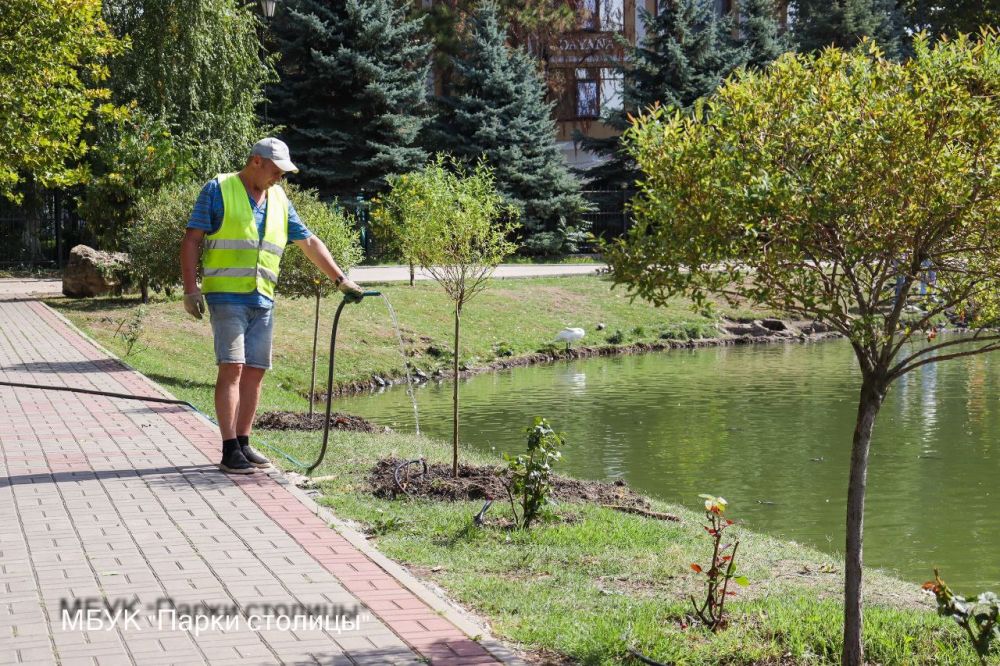 В парке Гагарина продолжается высадка декоративных деревьев и кустарников В парке Гагарина продолжается высадка декоративных деревьев и кустарников