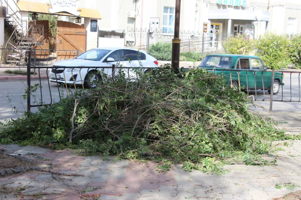 #зеленхоз. С улицы Самойленко вывезли ветки #зеленхоз. С улицы Самойленко вывезли ветки