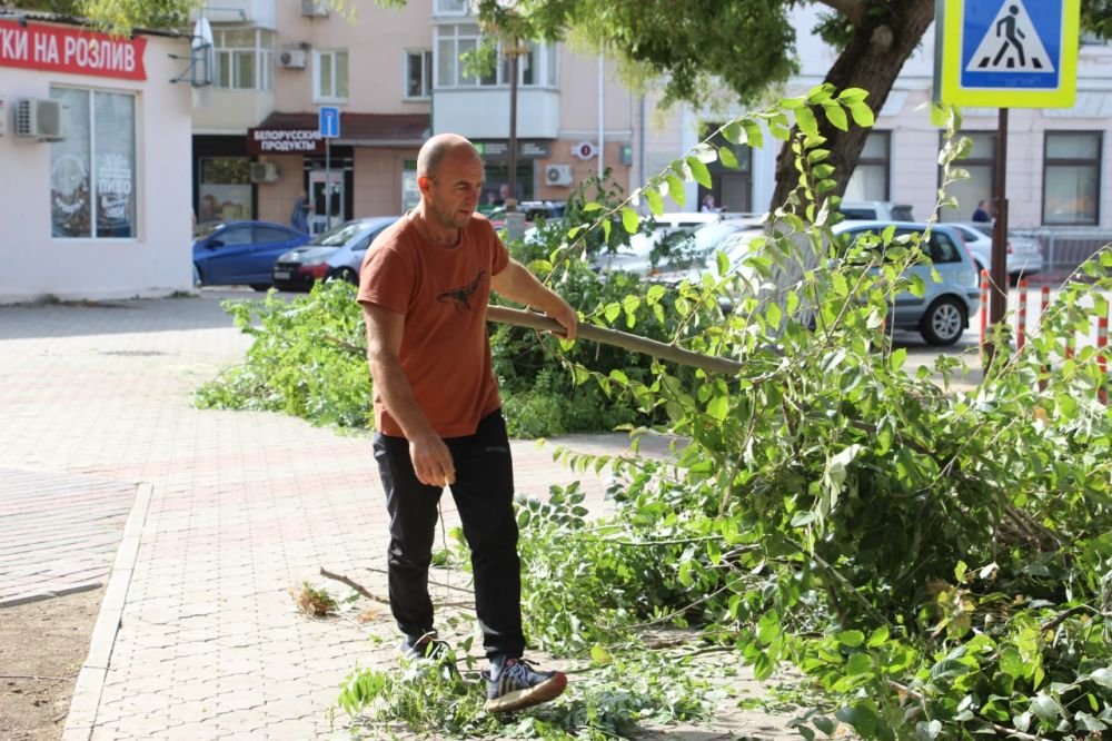 #зеленхоз. С улицы Самойленко вывезли ветки #зеленхоз. С улицы Самойленко вывезли ветки