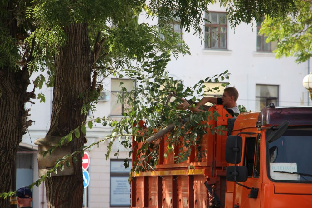 #зеленхоз. С улицы Самойленко вывезли ветки #зеленхоз. С улицы Самойленко вывезли ветки