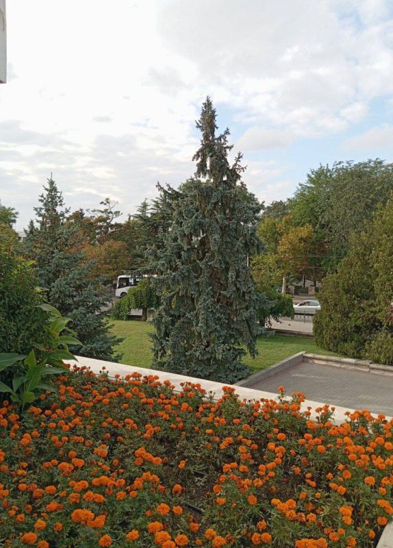 Доброе утро, севастопольцы! Доброе утро, севастопольцы!