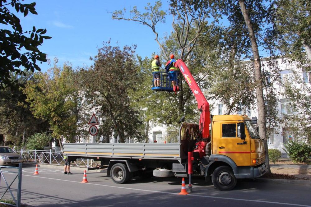 #зеленые_насаждения. Под санитарной обрезкой зеленых насаждений подразумевается удаление отмерших засохших веток... #зеленые_насаждения. Под санитарной обрезкой зеленых насаждений подразумевается удаление отмерших засохших веток...