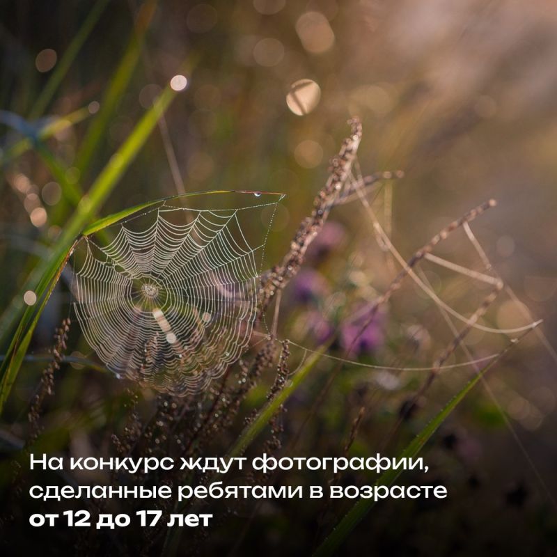 Стартовал традиционный фотоконкурс республиканского Министерства экологии и природных ресурсов «Крым в фокусе эко-объектива» Стартовал традиционный фотоконкурс республиканского Министерства экологии и природных ресурсов «Крым в фокусе эко-объектива»