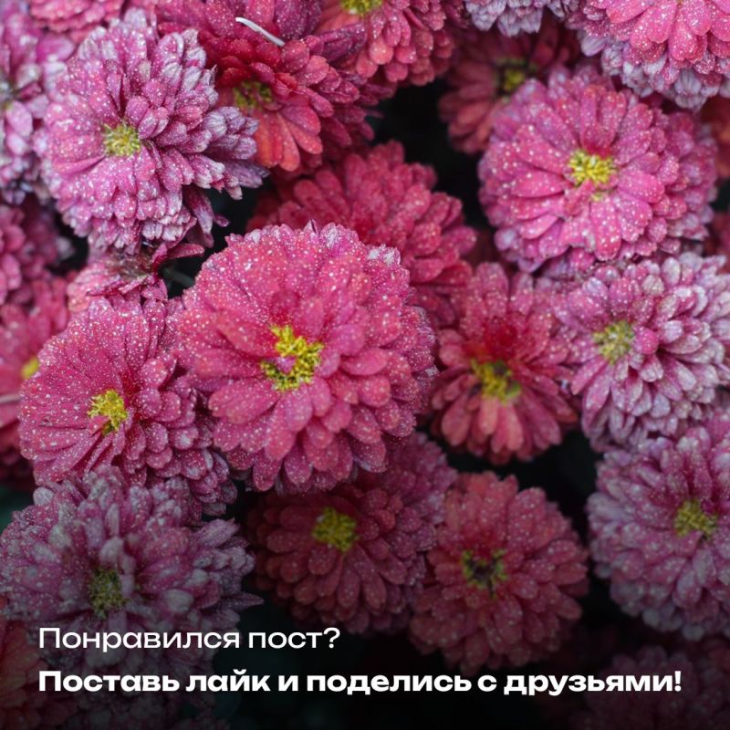 Стартовал традиционный фотоконкурс республиканского Министерства экологии и природных ресурсов «Крым в фокусе эко-объектива» Стартовал традиционный фотоконкурс республиканского Министерства экологии и природных ресурсов «Крым в фокусе эко-объектива»