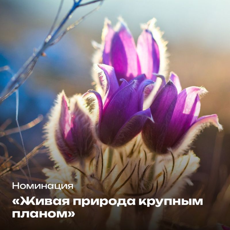 Стартовал традиционный фотоконкурс республиканского Министерства экологии и природных ресурсов «Крым в фокусе эко-объектива» Стартовал традиционный фотоконкурс республиканского Министерства экологии и природных ресурсов «Крым в фокусе эко-объектива»