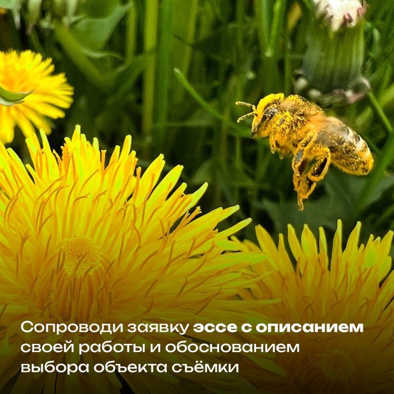 Стартовал традиционный фотоконкурс республиканского Министерства экологии и природных ресурсов «Крым в фокусе эко-объектива» Стартовал традиционный фотоконкурс республиканского Министерства экологии и природных ресурсов «Крым в фокусе эко-объектива»