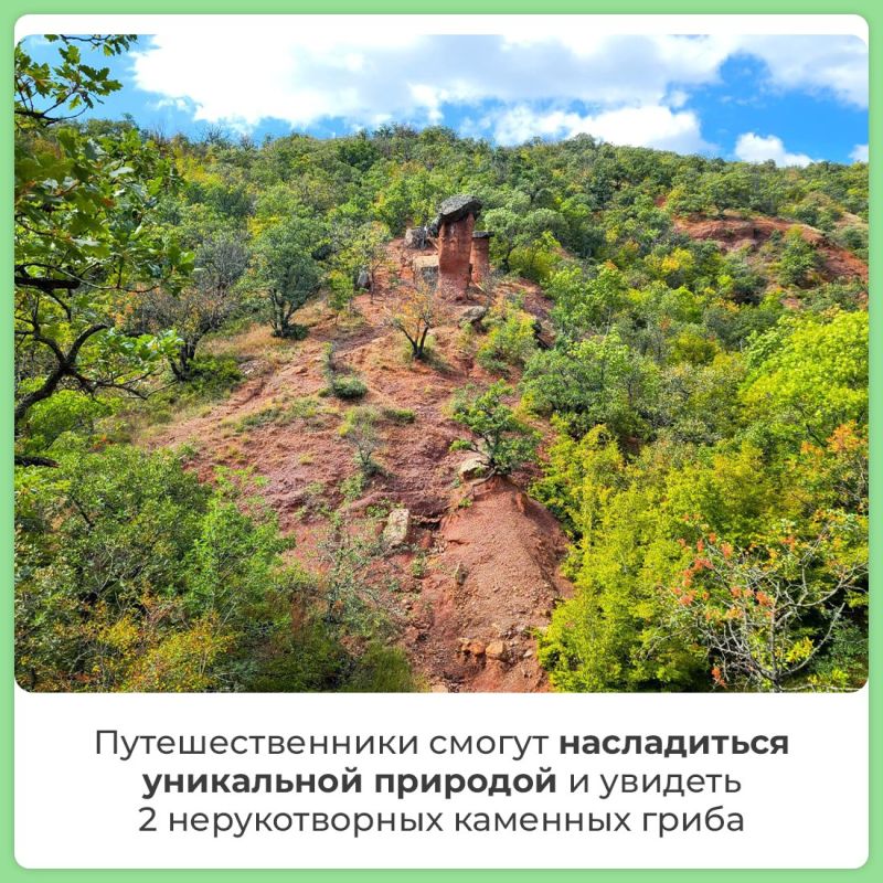 В Крыму открыли обновлённый экскурсионный экологический маршрут «Каменные грибы» В Крыму открыли обновлённый экскурсионный экологический маршрут «Каменные грибы»