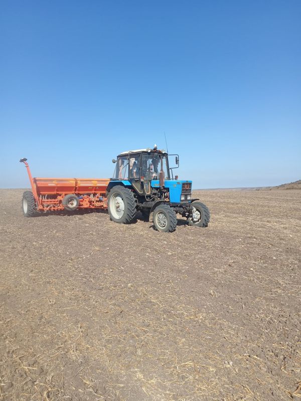 �� ����� ������ ���� ������ �������������.���������� ������� ������������� �� ������ ���������� 1459 ��. �� ������� ������ ������ 890 �� (61 %), ������� ����������� 7,3 �/��