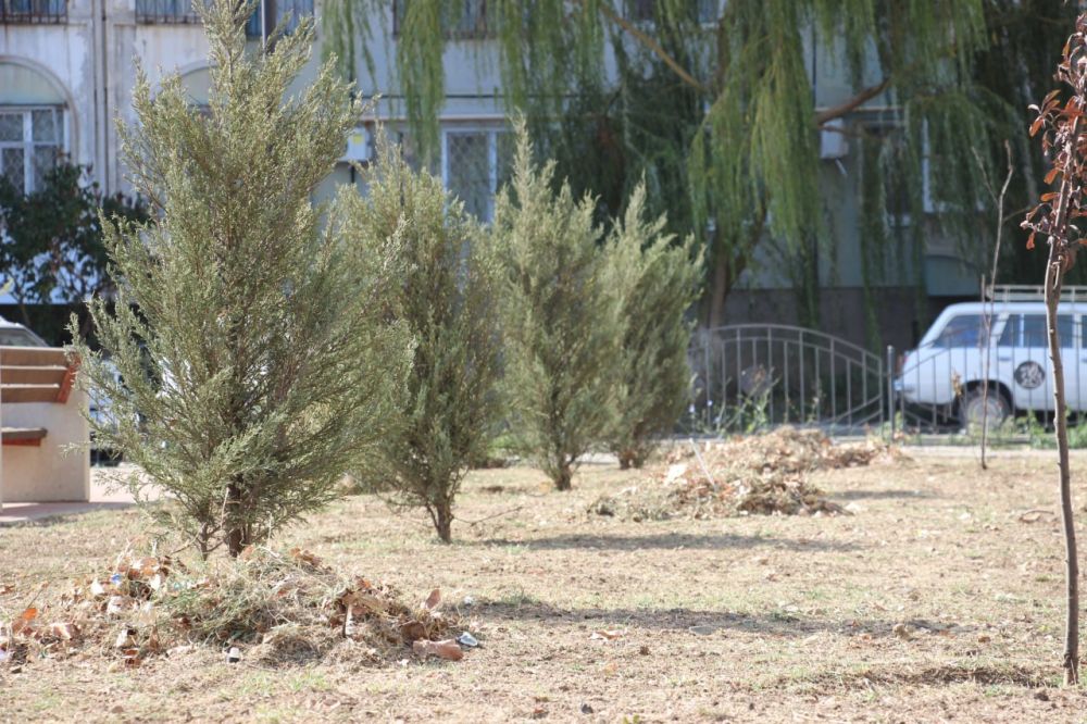 #уборка_городских_территорий #уборка_городских_территорий