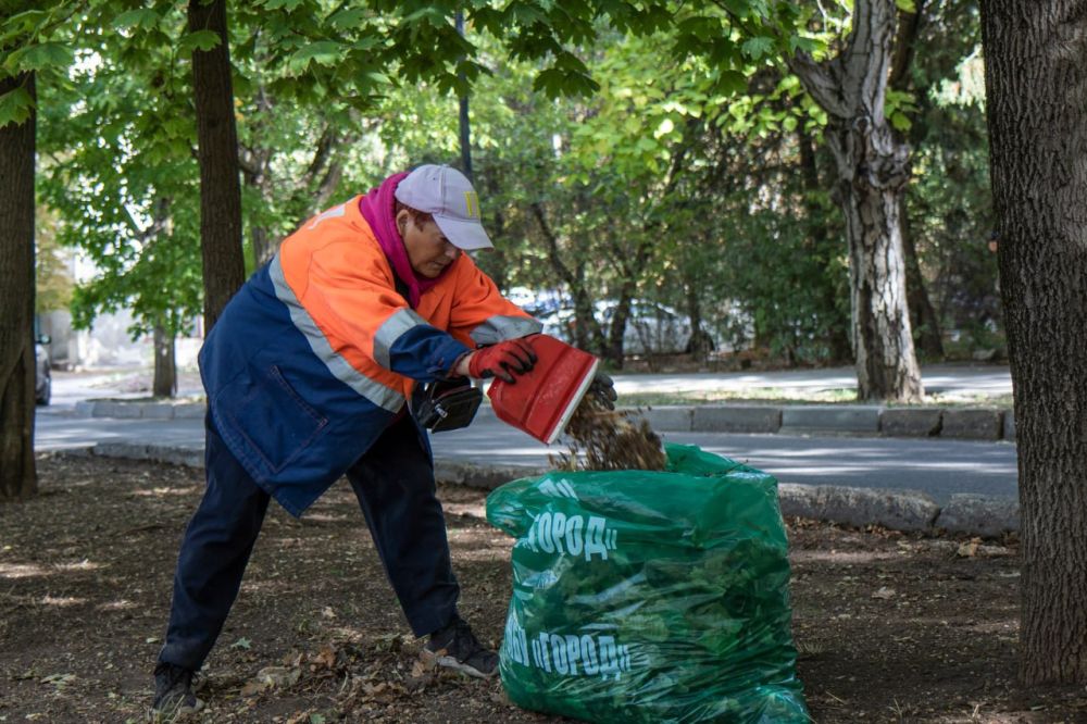 С приходом осени сотрудники МБУ «Город» ежедневно проводят работы по сбору и вывозу опавшей листвы на улицах и общественных пространствах крымской столицы С приходом осени сотрудники МБУ «Город» ежедневно проводят работы по сбору и вывозу опавшей листвы на улицах и общественных пространствах крымской столицы