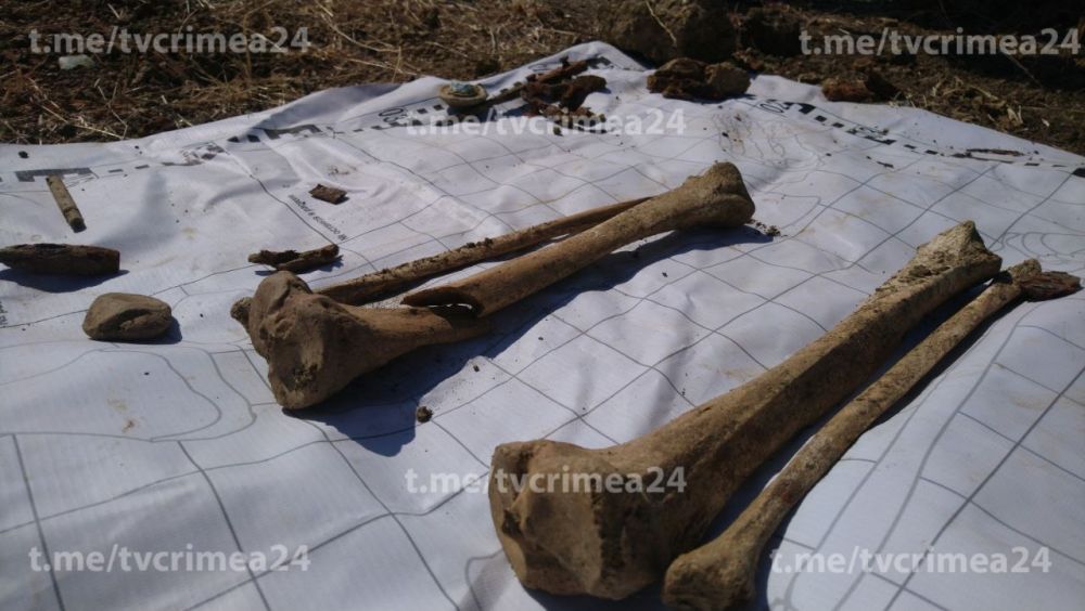 Под Керчью обнаружили воинское захоронение времён ВОВ Под Керчью обнаружили воинское захоронение времён ВОВ