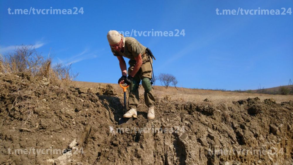 Под Керчью обнаружили воинское захоронение времён ВОВ Под Керчью обнаружили воинское захоронение времён ВОВ