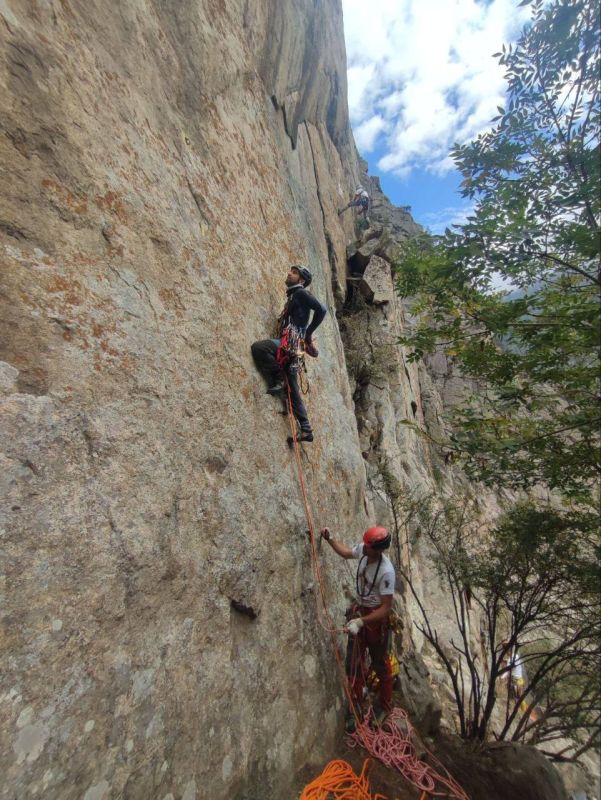 ������ ���������: ��������������� ���������� ��������� � ������� � ���������� ������ �� ���������� � �������� ������