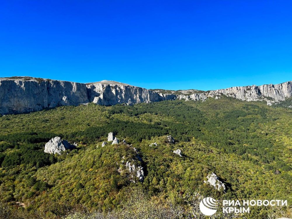 Вид со скалы Биюк-Исар на Ай-Петринскую яйлу и крымские просторы Вид со скалы Биюк-Исар на Ай-Петринскую яйлу и крымские просторы