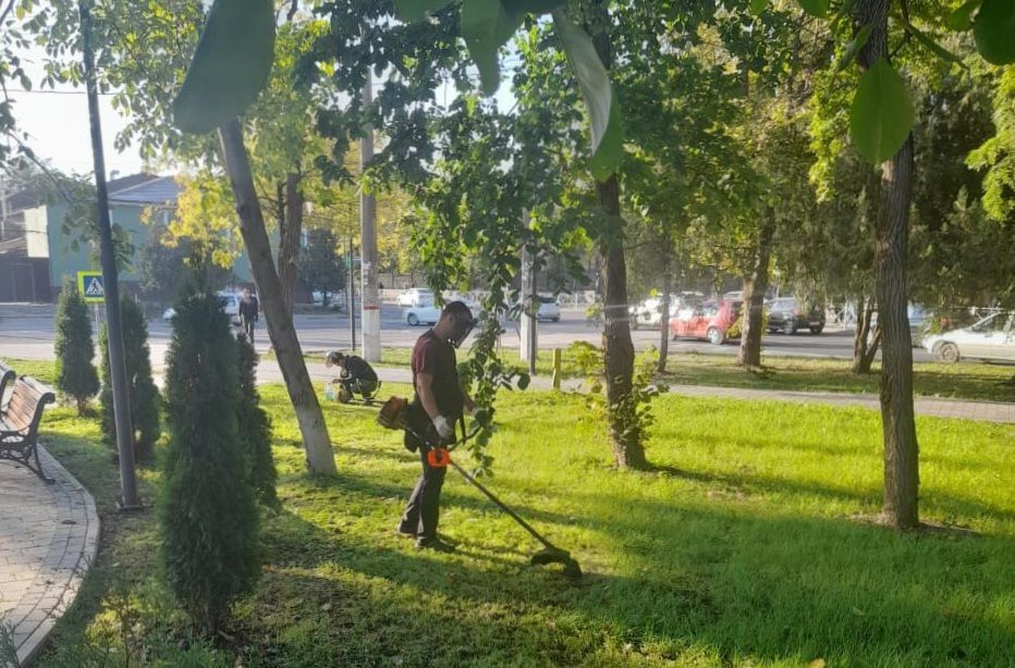 Сотрудники учреждения «Парки столицы» в постоянном режиме выполняют работы по уходу и содержанию парковых зон Симферополя Сотрудники учреждения «Парки столицы» в постоянном режиме выполняют работы по уходу и содержанию парковых зон Симферополя