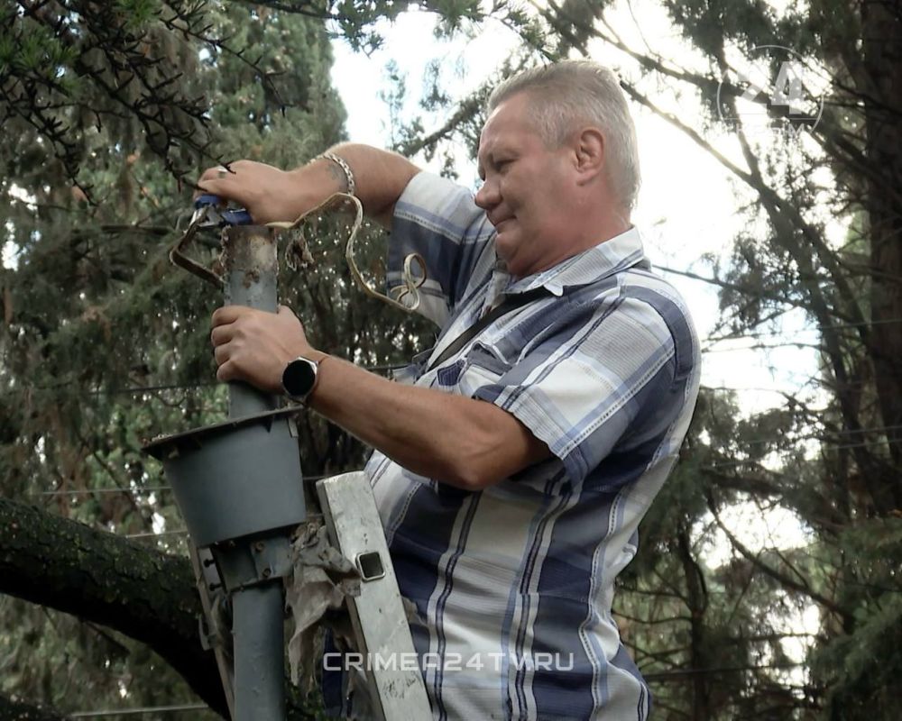 � ���� � ������ � �����-����� � 9 ������ ���� ��������� �������