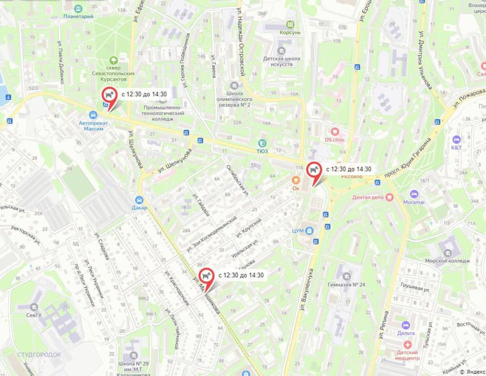 Это может сохранить питомцу жизнь Это может сохранить питомцу жизнь