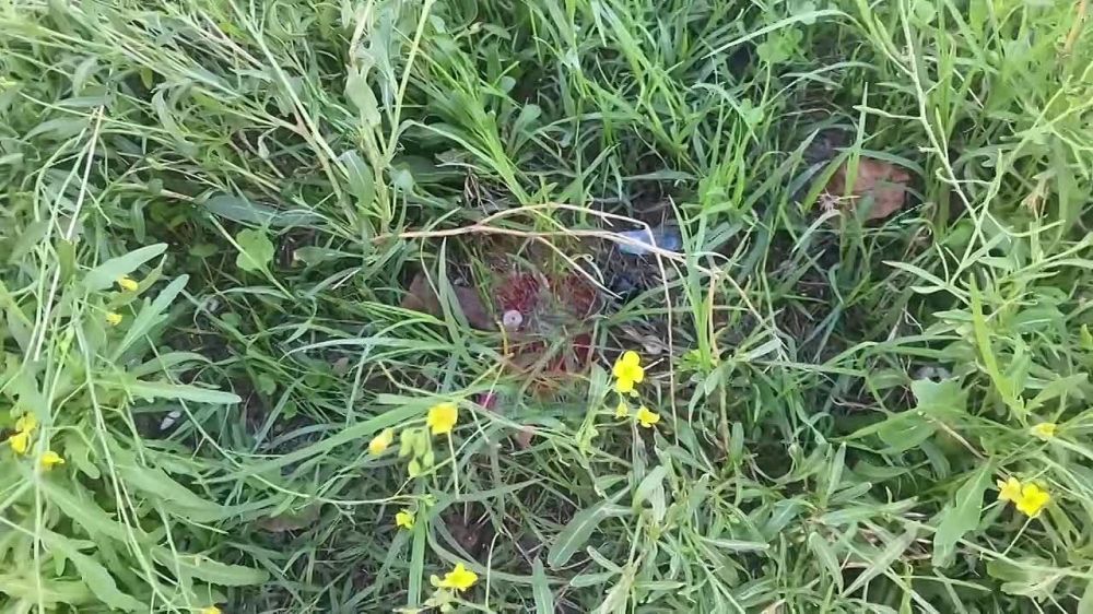 � ����������� ����������� � �������� ��������� ������������������� ������������