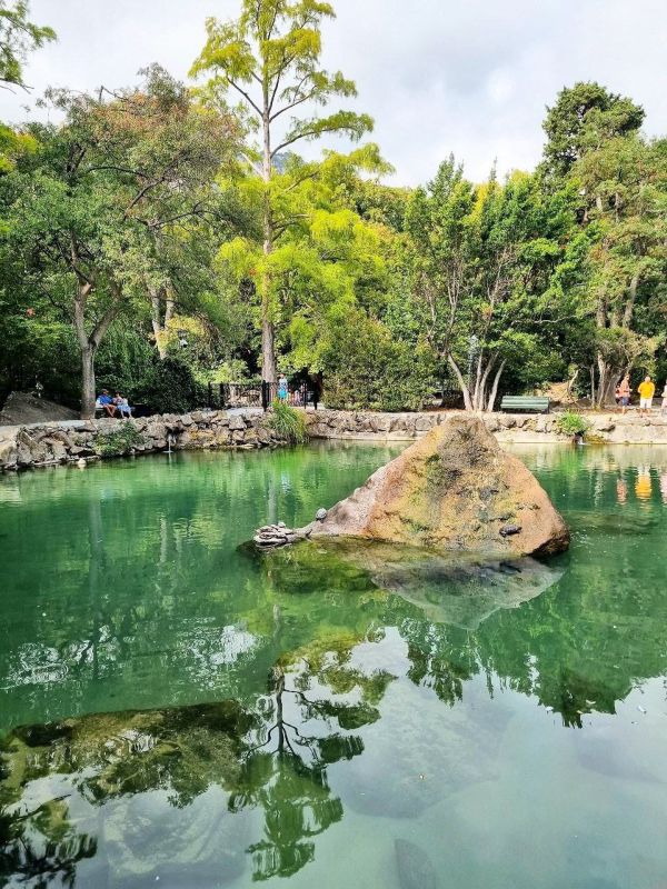 ���������� ������������ ���� � ������