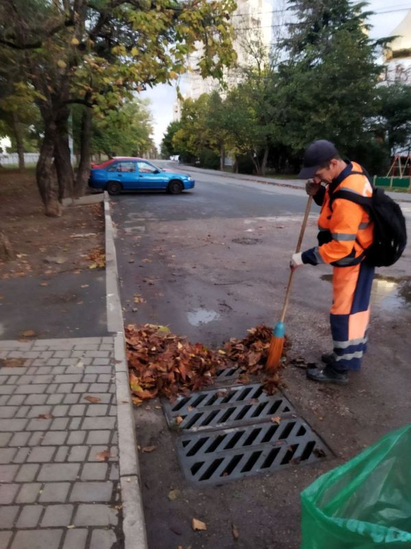 Сотрудники МБУ «Город» ежедневно проводят работы по сбору и вывозу опавшей листвы на улицах и общественных пространствах крымской столицы Сотрудники МБУ «Город» ежедневно проводят работы по сбору и вывозу опавшей листвы на улицах и общественных пространствах крымской столицы
