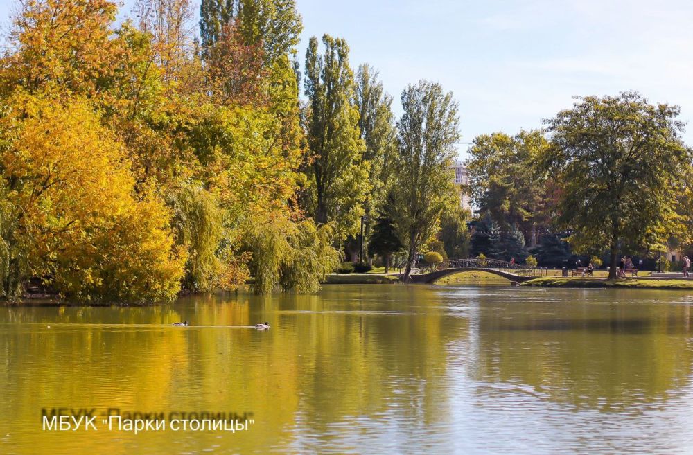 Осень в парке Гагарина— это особенное волшебство! Осень в парке Гагарина— это особенное волшебство!