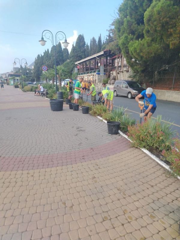 Галина Огнёва: В Алуште идет активная высадка осенних растений! Галина Огнёва: В Алуште идет активная высадка осенних растений!