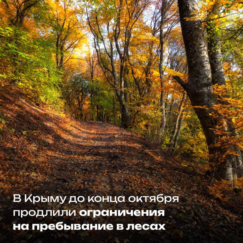Крымских школьники могут поучаствовать в конкурсе ШкИБ-2025 Крымских школьники могут поучаствовать в конкурсе ШкИБ-2025