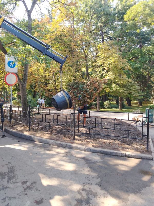 Галина Огнёва: В Алуште идет активная высадка осенних растений! Галина Огнёва: В Алуште идет активная высадка осенних растений!