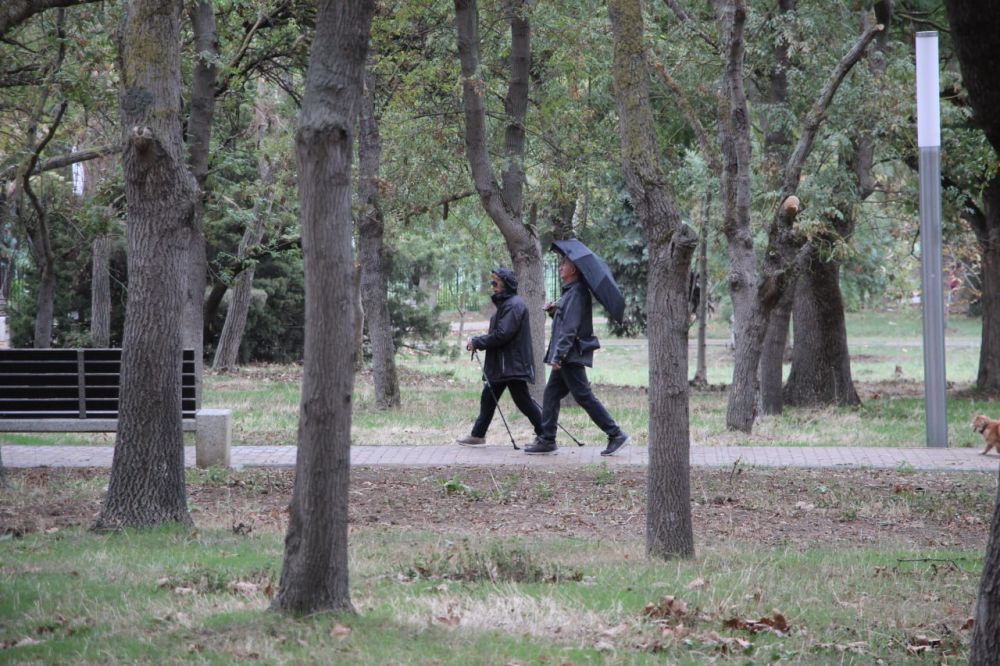 #уборка_городских_территорий #уборка_городских_территорий