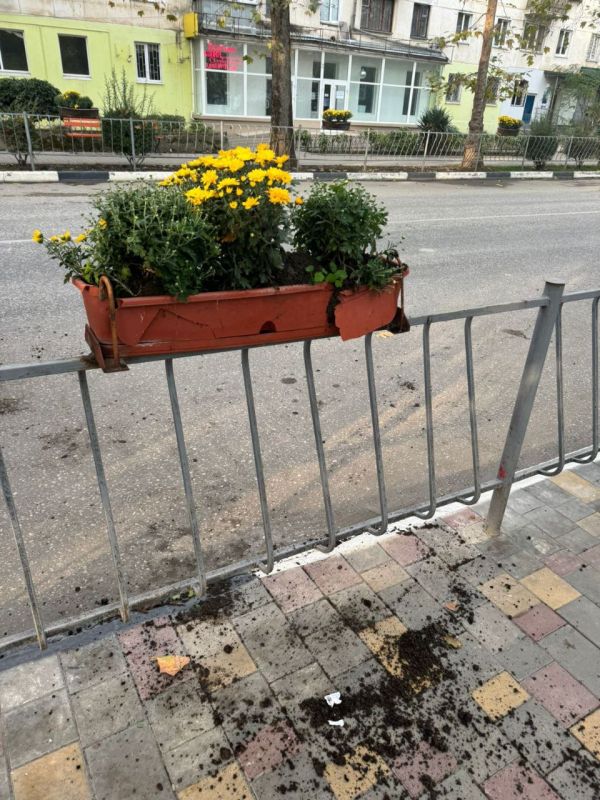 В Алуште вандалы разбили кашпо В Алуште вандалы разбили кашпо