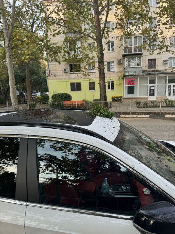 Галина Огнёва: Обращаюсь к жителям и гостям города Алушты! Галина Огнёва: Обращаюсь к жителям и гостям города Алушты!