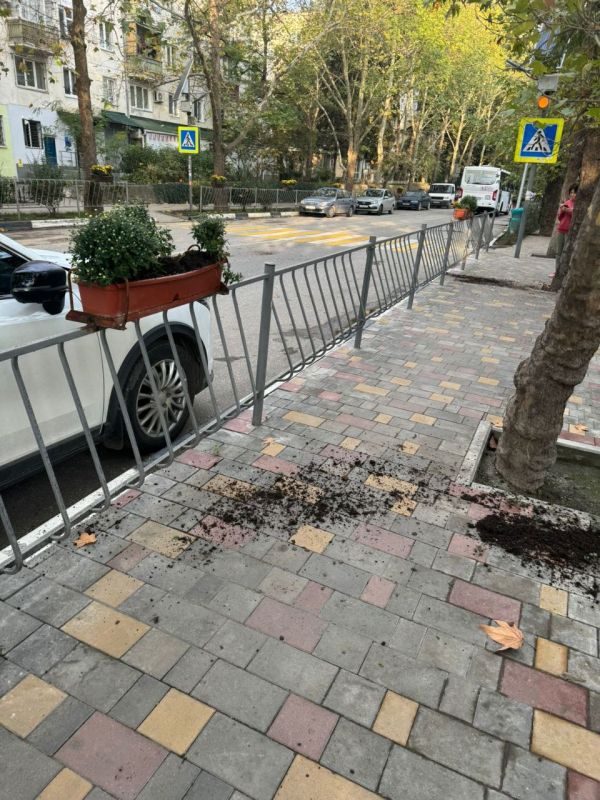 В Алуште вандалы разбили кашпо В Алуште вандалы разбили кашпо