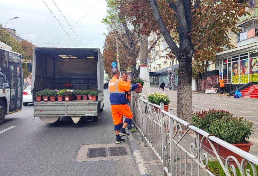 В столице Крыма продолжаются работы по установке кашпо с хризантемами В столице Крыма продолжаются работы по установке кашпо с хризантемами