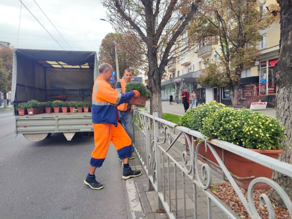 В столице Крыма продолжаются работы по установке кашпо с хризантемами В столице Крыма продолжаются работы по установке кашпо с хризантемами