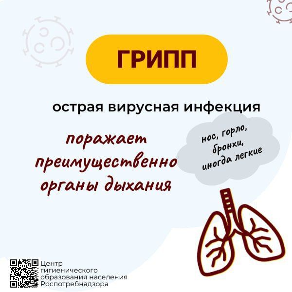 Грипп и ОРВИ уже среди нас Грипп и ОРВИ уже среди нас