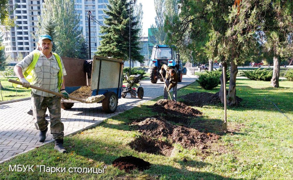 30 можжевельников, кипарисовиков и гибискусов высадят сегодня в парке Гагарина 30 можжевельников, кипарисовиков и гибискусов высадят сегодня в парке Гагарина