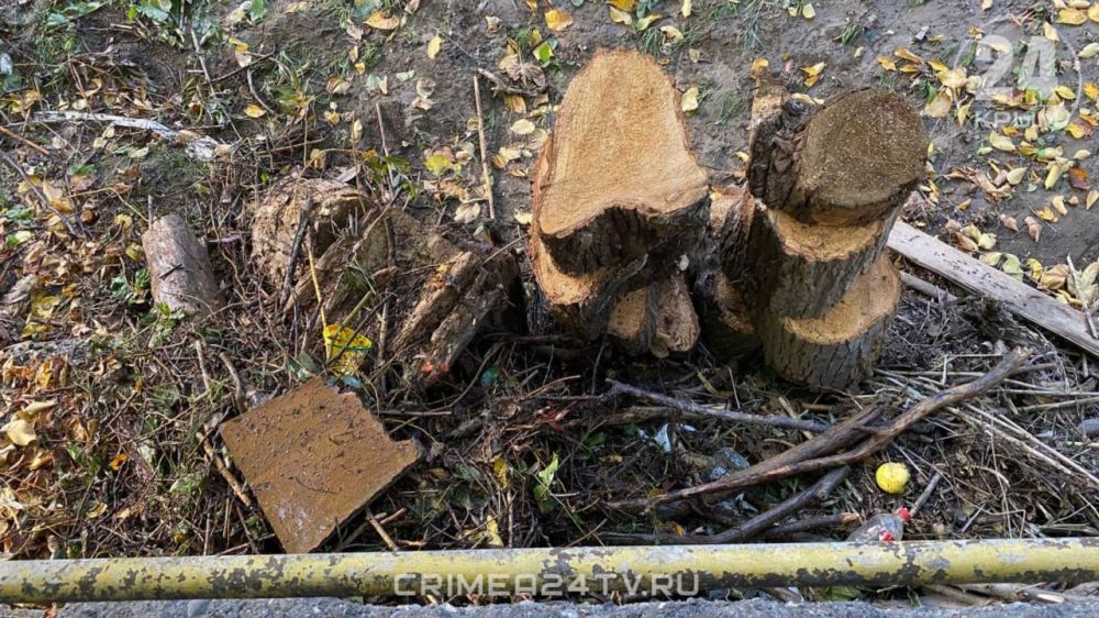 В центре Алушты очищают русло реки Улу-Узень В центре Алушты очищают русло реки Улу-Узень